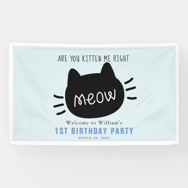 Are You Kitten Me Right Meow Blue BIrthday Banner (Horizontal)