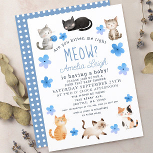 Are You Kitten Me Right Meow Boy Baby  Invitation