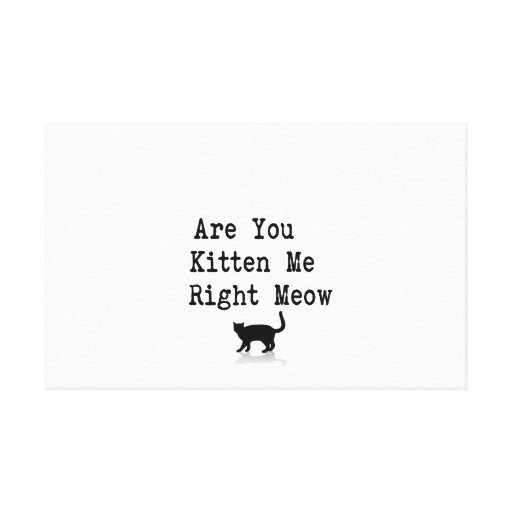 Are you Kitten Me Right Meow Canvas Print | Zazzle