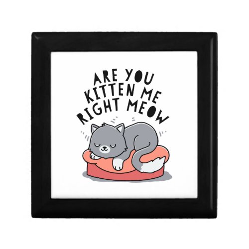 Are You Kitten Me Right Meow Gift Box