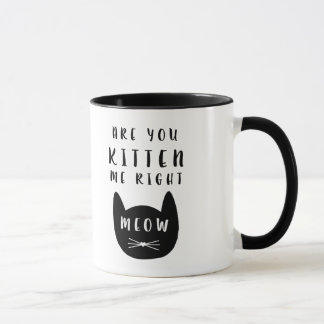 Are you Kitten me right Meow? Mug