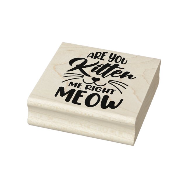 Are You Kitten Me Right Meow  Rubber Stamp (Stamp)