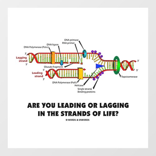 Are You Leading Or Lagging In The Strands Of Life Floor Decals