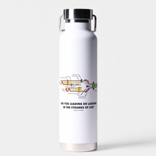 Are You Leading Or Lagging In The Strands Of Life Water Bottle