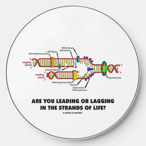 Are You Leading Or Lagging In The Strands Of Life Wireless Charger