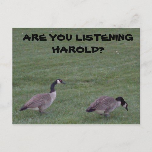 ARE YOU LISTENING HAROLD postcard