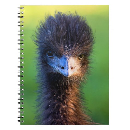 Are You Looking at Me  _ Ostrich Notebook