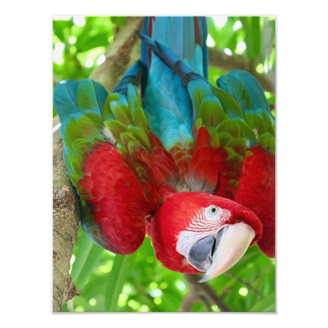 Are you looking at me?  photo print (Front)