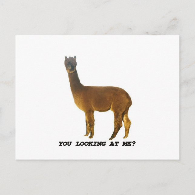 Are you looking at me? postcard (Front)