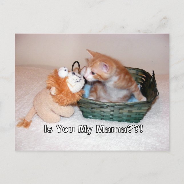 Are you my mama??!! Postcard (Front)