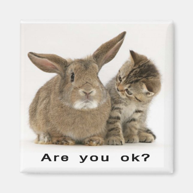 Are you ok? magnet (Front)
