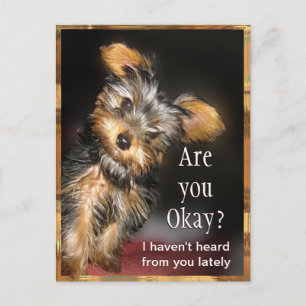 Are you Okay? Customizable Postcard