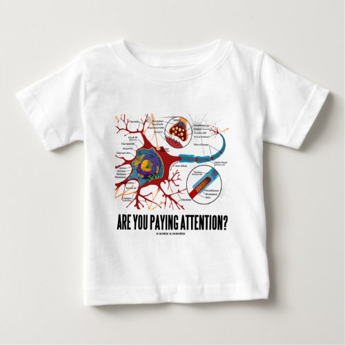 Are You Paying Attention Neuron Synapse Humor Baby T_Shirt
