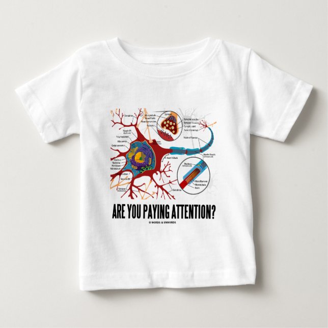 Are You Paying Attention? (Neuron Synapse Humor) Baby T-Shirt (Front)