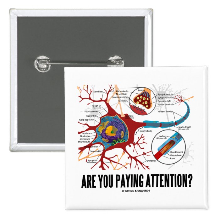 Are You Paying Attention? (Neuron Synapse Humor) Buttons