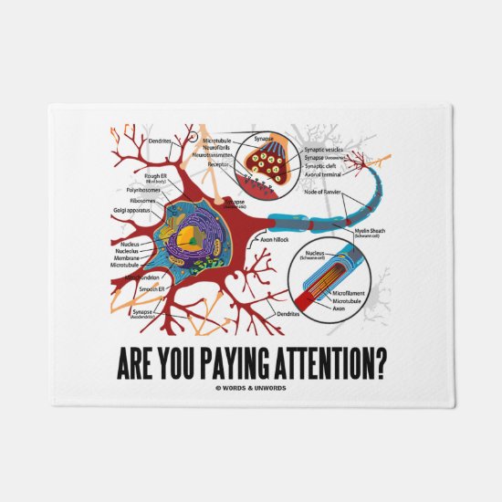Are You Paying Attention? Neuron Synapse Humor Doormat