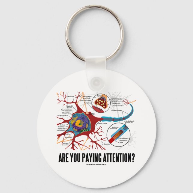 Are You Paying Attention? (Neuron Synapse Humor) Keychain (Front)