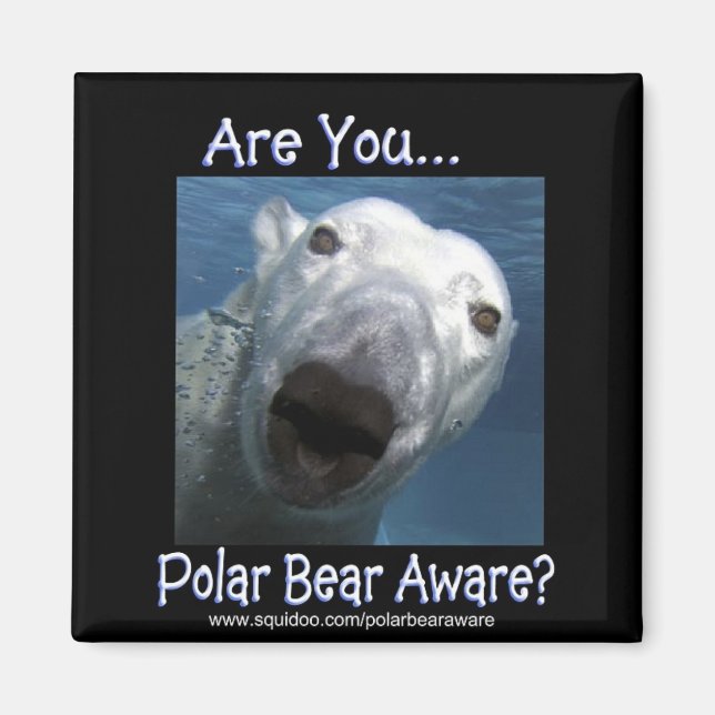 Are_you_polar_bear_aware Magnet (Front)