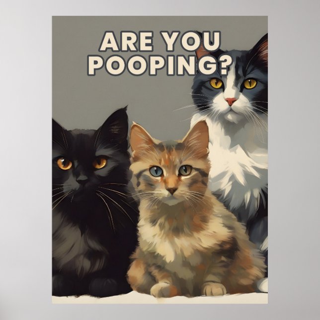 are you pooping cat poster (Front)