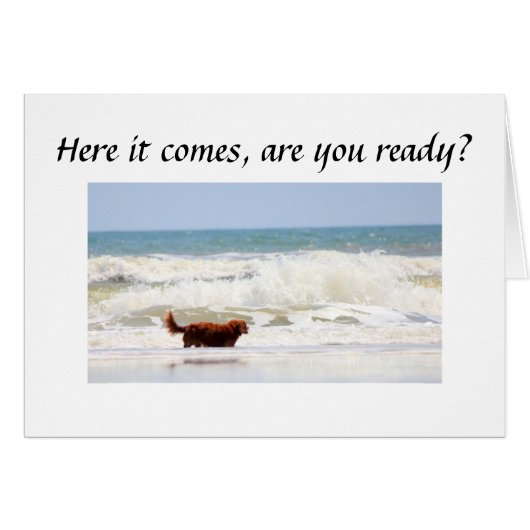 ARE "YOU" READY TO TURN ****50**** CARDS (Front Horizontal)
