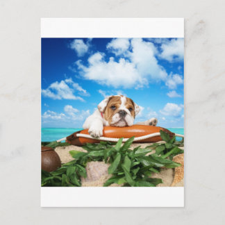 Are you serious? postcard