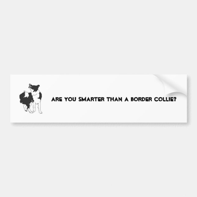 ARE YOU SMARTER THAN A BORDER CO... BUMPER STICKER (Front)