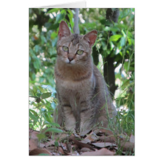 Are you talkin' to me? - TBD series