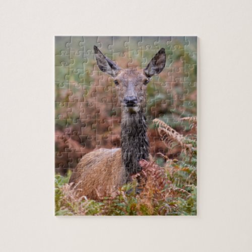 Are You Talking to Me _ 8x10 _ 110 pieces Jigsaw Puzzle