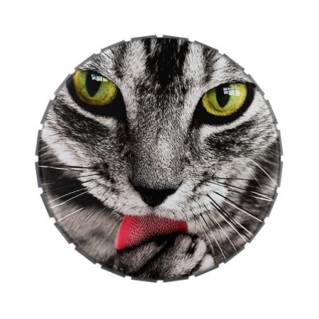 Are You Talking To Me (tabby Cat) ~ Jelly Belly Tin