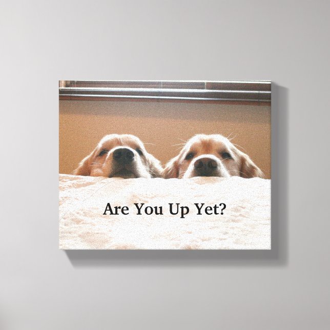Are You Up Yet? Golden Retriever Canvas Print (Front)