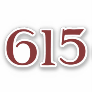 Area Code 615 (Nashville) Sticker