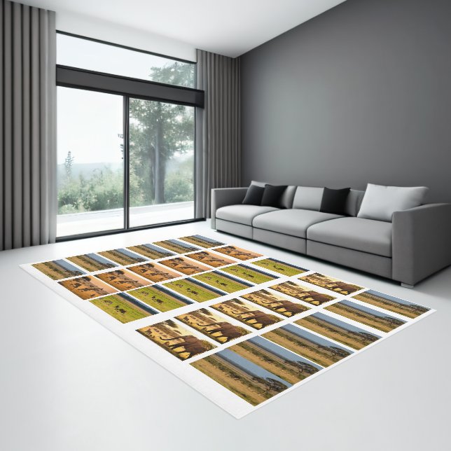 Area Rugs (Insitu (Indoor 3))