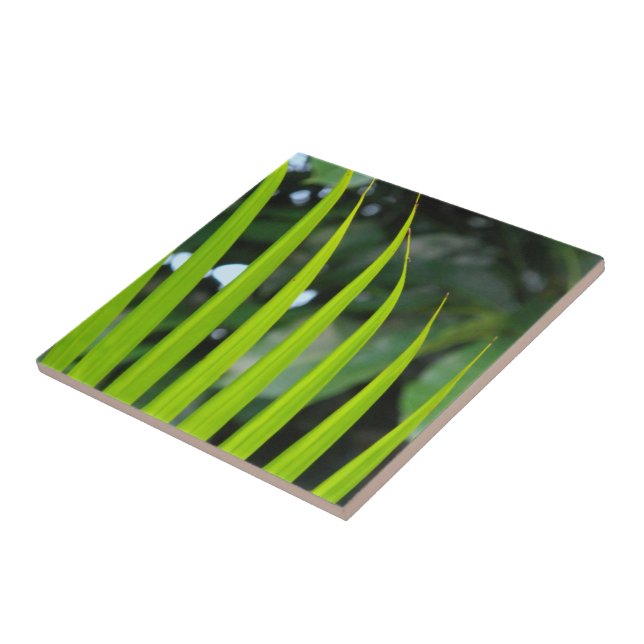 Areca Palm Frond Tile (Side)