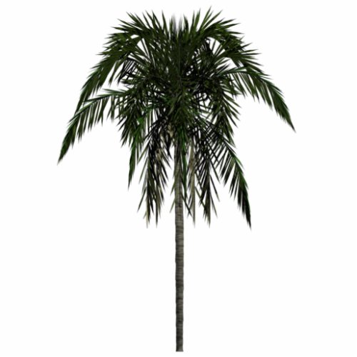 Areca Palm Sculpture
