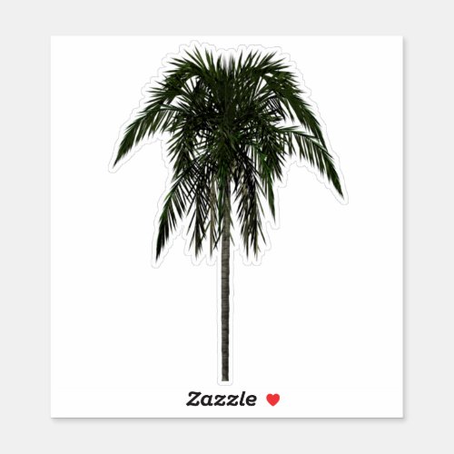 Areca Palm Tree Sticker