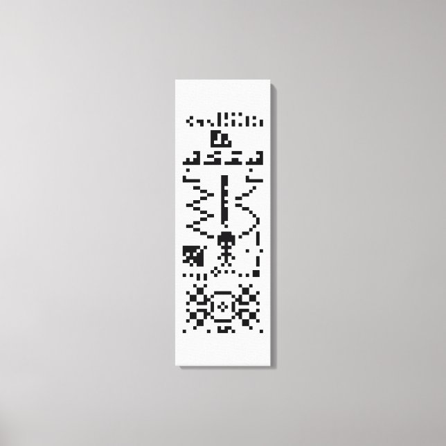 Arecibo Binary Message Reply Canvas Print (Front)
