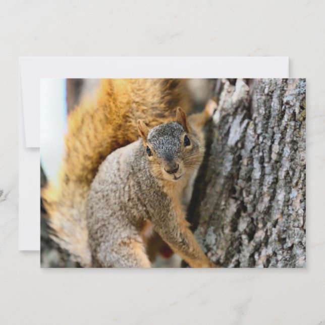 Aren/t you coming (Front)