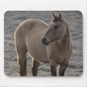 Aren't I Pretty Mousepad