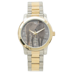 Aren't I Pretty Watch