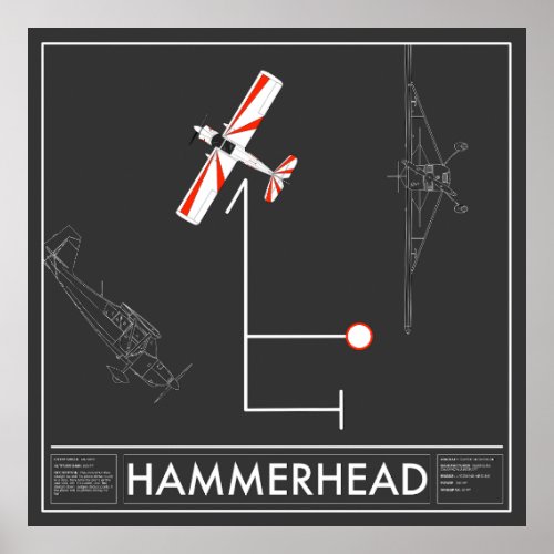 Aresti Aerobatic Hammerhead Super Decathlon Poster