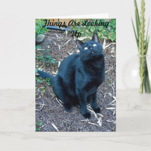 Arg Birthday Card 3