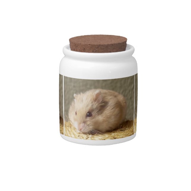 Argente Campbells Dwarf Russian Hamster Candy Jar (Front)