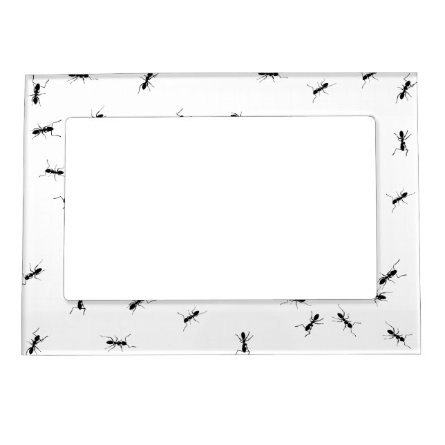 Argentenian Ants Magnetic Frame (Front)
