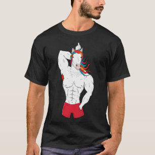 Argentina Buenos Aires flag. T-Shirt