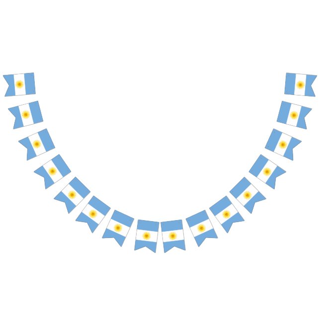 Argentina Flag (All)