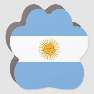 Argentina flag car magnet