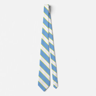 Argentina Flag Colors Elegant Neck Tie