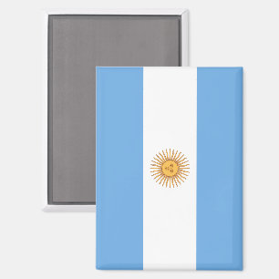 Argentina Flag Magnet Patriotic Fridge Decor