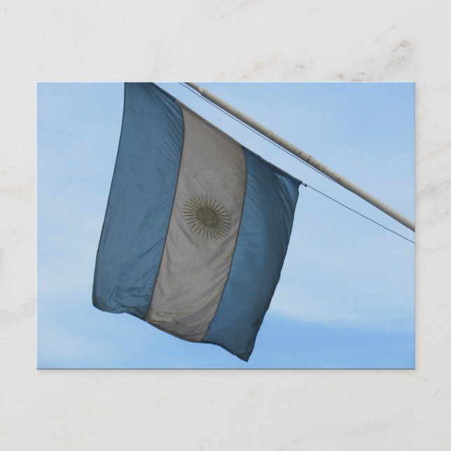 argentina flying flag postcard (Front)