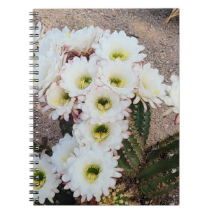 Argentine Cactus Flower Spiral Notebook